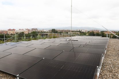 La planta fotovoltaica de la Facultat d'Economia i Empresa, al campus Bellissens.