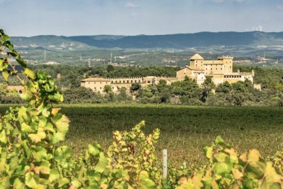 La cultura del vi, present a bona part de la comarca, és un dels elements que donarà forma al festival.