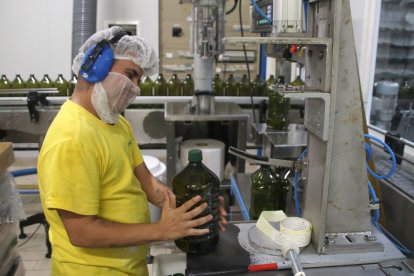 Un treballador envasa una ampolla d'oli d'oliva verge extra a la planta del Grup Unió a Vilallonga del Camp.