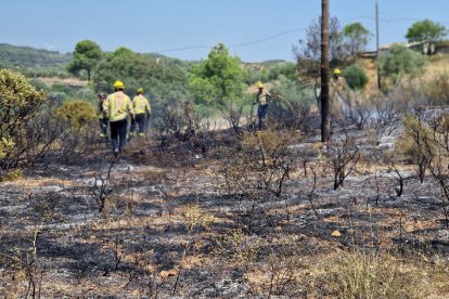 El foc dels vehicles s'ha propagat a la vegetació dels marges.