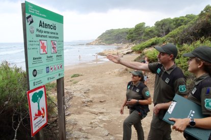 Els Agents Rurals fan tasques de prevenció en espais naturals com el bosc de la Marquesa de Tarragona.