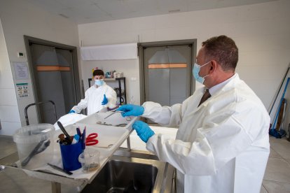 Imatge dels dos treballadors del tanatori municipal, Juan José López i Laia Morales.