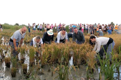 El conseller Ordeig, acompanyat d'autoritats locals, seguen a l'antiga a la Festa de la Sega de Deltebre