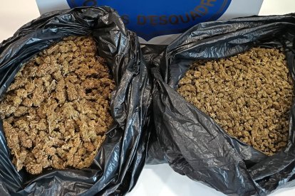 El cotxe interceptat desprenia una forta olor a marihuana.
