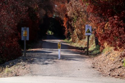 Arbres cremats a l'entrada d'un túnel de la Via Verda de Xerta