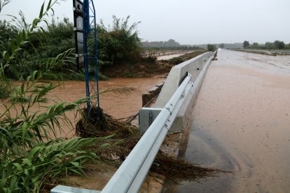 El barranc de la Galera al costat de la C-12 entre Tortosa i Amposta