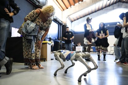 El festival ha refermat el posicionament del Moll de Costa com la Rambla cultural de les comarques tarragonines.