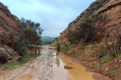 Agentes trabajan ante el aviso por intensidad de lluvia en la zona del Ebre.