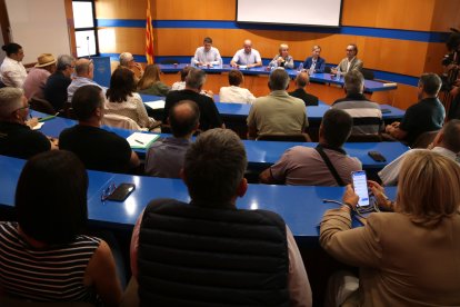 La secretària d'Agricultura, Cristina Massot, reunida al Consell Comarcal del Montsià amb pagesos i alcaldes.