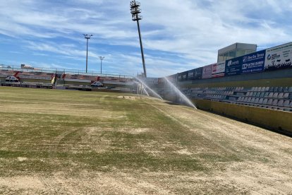 Els treballs s’han iniciat amb el rascat del terreny de joc i la ressembra de la varietat d’hivern.