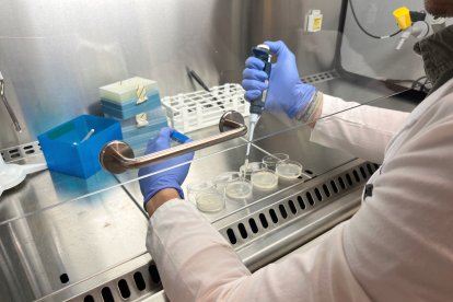 La recerca es durà a terme al Port de Tarragona i a la platja de la Pineda.