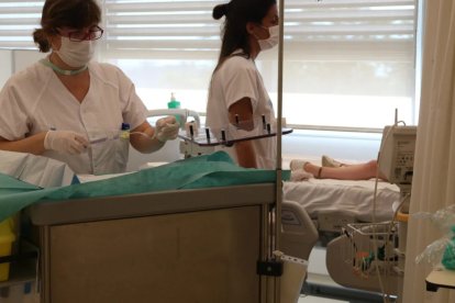 ACN

El 2024 es van tramitar un total de 358 peticions al país, cinc vegades més que el primer any de la llei.