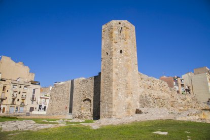 El Consorci tindrà seguiment per part de l’Ajuntament.