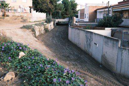 Imatge del barranc de Nou Cambrils net.