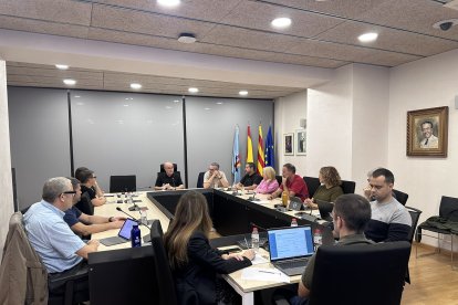 Fotografia del ple extraordinari celebrat ahir a l’Ajuntament de la Canonja.