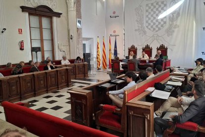 Imatge del ple extraordinari on s'ha aprovat la constitució del Consorci de Tàrraco.