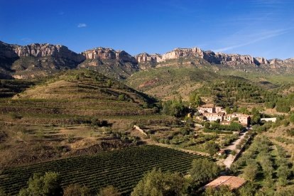El Banc de terres del Priorat ha incorporat 1.042 hectàrees i ha formalitzat 62 acords, que han permès recuperar 300 hectàrees de conreu.
