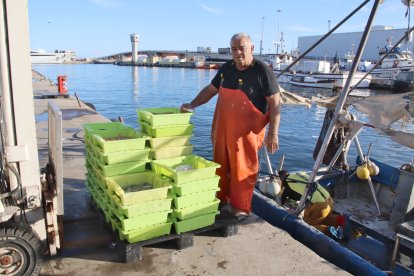 Un pescador de Tarragona amb part de les captures que ha fet aquest dimarts, l'últim dia que podrà sortir a la mar durant aquest any 2025 si no s'atorguen més dies de quota.
