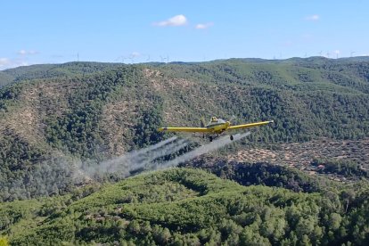 Una avioneta fumigant un tractament contra la processionària del pi