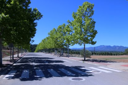 Un dels carrers urbanitzats del polígon industrial del Molló, a Móra la Nova i Tivissa.