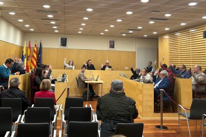 Imatge del Ple ordinari celebrat el passat 28 de novembre