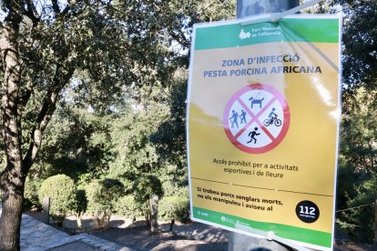 Cartell sobre les restriccions per evitar la propagació de la pesta porcina africana, exposats al centre d’informació del Parc Natural de la Serra de Collserola.