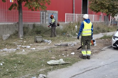 Cinc peons amb desbrossadores s’encarreguen de tallar les males herbes i recollir els residus.