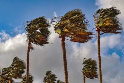 La alerta afecta a las comarcas del Baix Camp, Tarragonès, Baix Penedès y Alt Camp.