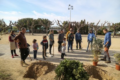 Més de 200 alumnes de 1r d’ESO dels instituts Ramon de la Torre i Torredembarra han plantat 72 unitats al pati del Ramon de la Torre.