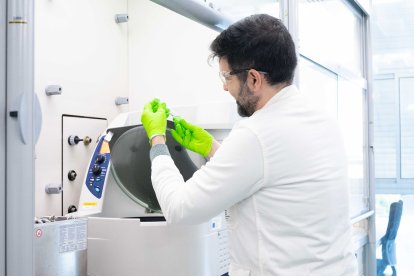 ONR-001 és una teràpia innovadora d’Oniria Therapeutics dissenyada per a tumors malignes que no responen als tractaments actuals.