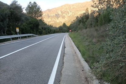 L’espècie més afectada enguany ha estat el gat