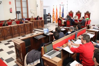 El ple de Tarragona rebutja una moció de censura sobre el projecte de la Savinosa