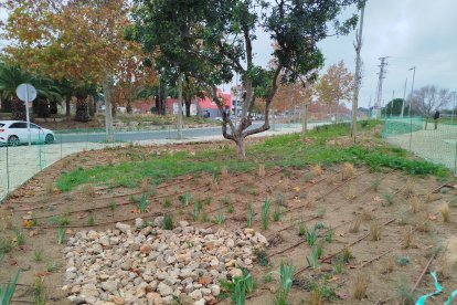 Imatge del SUDS de l'avinguda Riudoms.