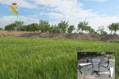 L'empresa tarragonina no disposava d'autorització per a aplicar fitosanitaris mitjançant drons.