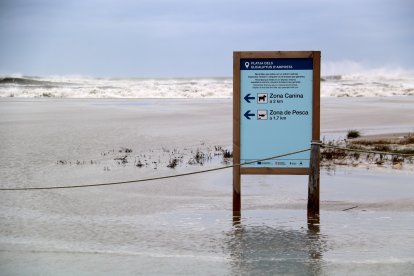 Fortes onades a la platja del Trabucador
