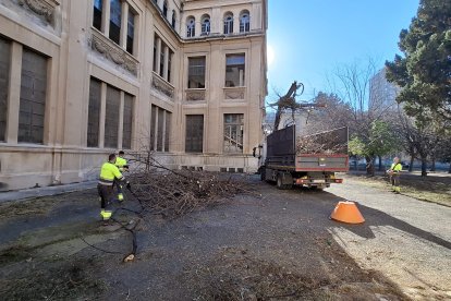 Imatge dels operaris realitzant tasques de neteja i desbrossament al pati interior de la Tabacalera.