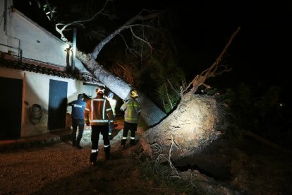 Imatge d'un arbre caigut a la teulada d'una masia a la TP-7225 entre Reus i el Morell.