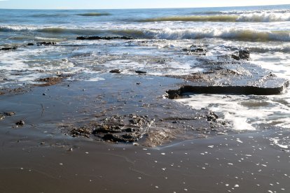 Restes d'estructures de pedra aparegudes a la punta de la Banya del Delta.