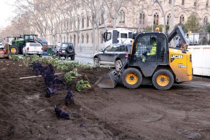 Els serveis municipals han retirat l'hort urbà de Revolta Pagesa al mig de la Gran Via de Barcelona