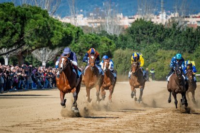 Imatge d'una de les curses del Cós de Sant Antoni