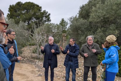 Salou treballa en la millora del mirador, la plaça de Cala Crancs i el bosc de la Duna