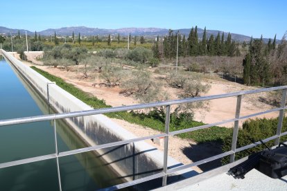 Terrenys on es construirà el nou dipòsit d'aigua crua de CAT a l'Ampolla.