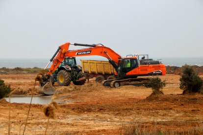 Una retroexcavadora trabajando en la renaturalización de la antigua piscifactoría de la isla de Gaita, en el delta de l'Ebre.