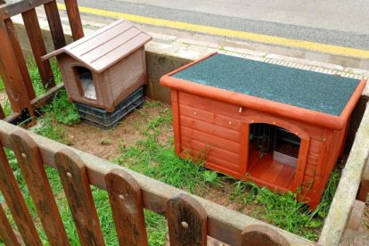 Altafulla crea quatre noves colònies felines amb casetes per millorar la gestió dels gats comunitaris