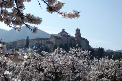 Imagen de almendros florecidos con Tivissa de fondo.
