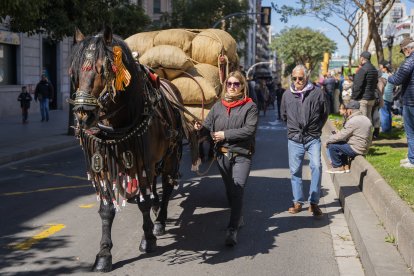 Els Tres Tombs van comptar amb més d’una trentena de carros i d’una norantena d’animals.