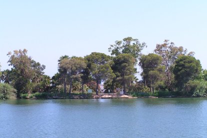 Imatge d'arxiu de l'Illa de Buda.