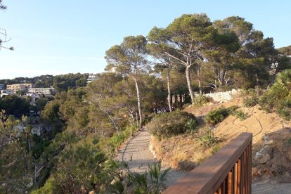 Salou plantarà 3.800 plantes autòctones per renaturalitzar el litoral