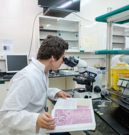 La URV aprova impulsar el grau en Farmàcia per al curs 27/28