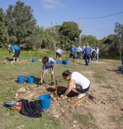 Imatge de la segona plantada a la Granja dels Frares.
